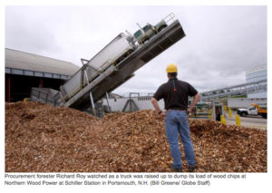 wood chip power