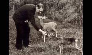 Hitler feeding deer