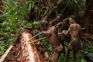 New Guinea Cannibals