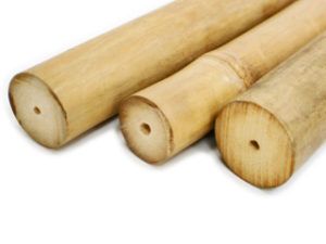 thick bamboo